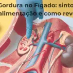 Gordura no Figado Sintomas Alimentacao e Como Reverter